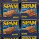 How to Survive the Apocalypse in Style with SPAM.